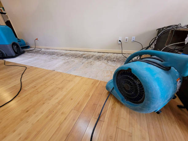 Professional Structural Drying technician working in Avon, MA